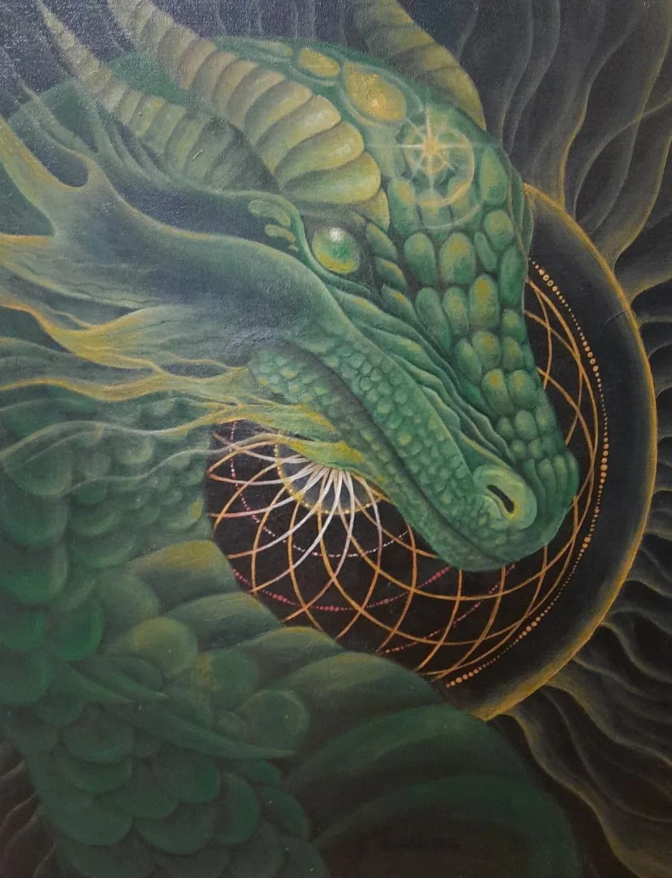 Dragon and Torus