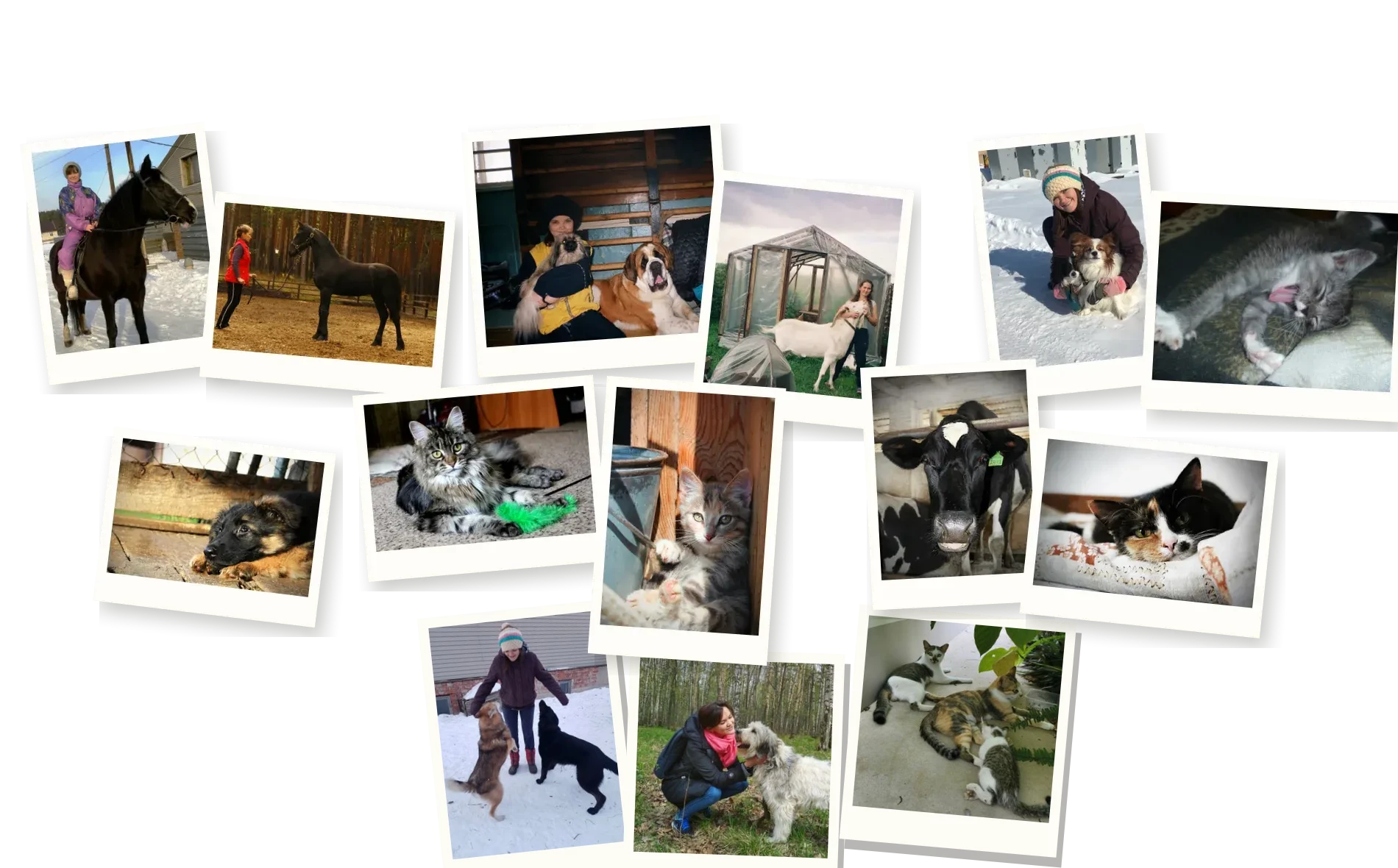 My animals and family